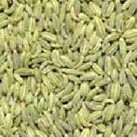 Fennel Seeds